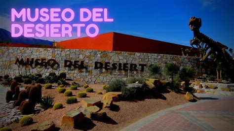 Museo Del Desierto En Coahuila Un Recorrido Educativo Y Emocionante