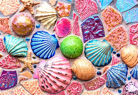 Sea Shells On The Wall Jigsaw Puzzle In Puzzle Of The Day Puzzles On