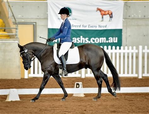 The Australian Stock Horse Society Au