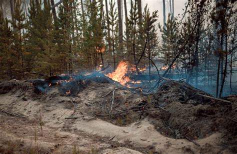 Rusia Combate Los Incendios En Siberia Con Ayuda De Aviones Que