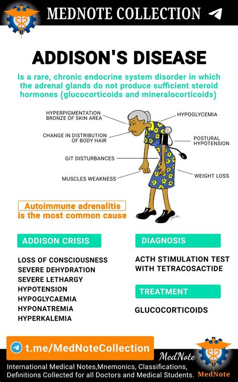 Understanding Addison S Disease