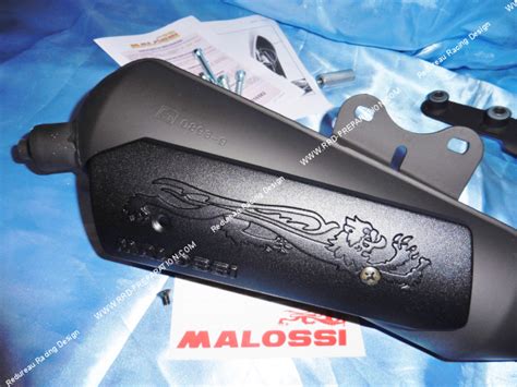 Pot d échappement MALOSSI WILD LION pour scooter PIAGGIO GILERA