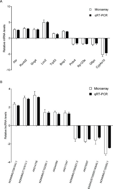 Quantitative Real Time PCR QRT PCR Validation Of 20 Randomly Selected