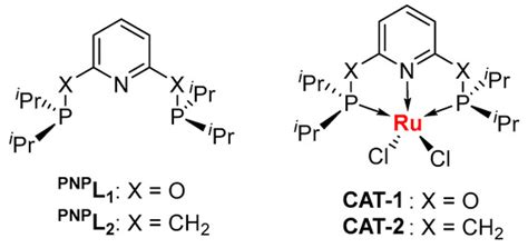 Catalysts Free Full Text The Pincer Ligand Supported Ruthenium