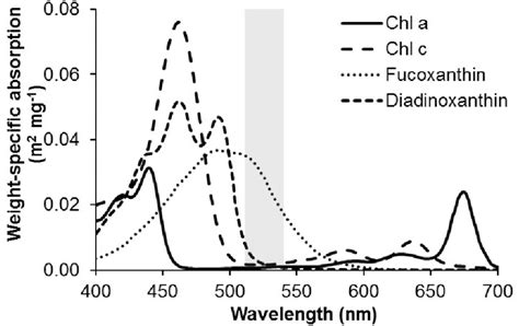 5 ABSORPTION SPECTRA OF THE MAIN PRIMARY PIGMENTS OF DIATOMS