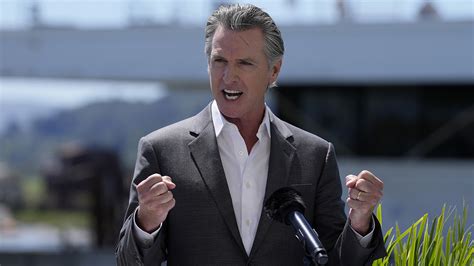 Newsom Vetoes Ai Bill