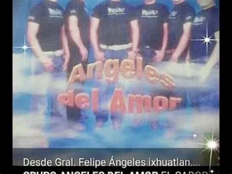 004 Abeja Miope GRUPO ANGELES DEL AMOR YouTube