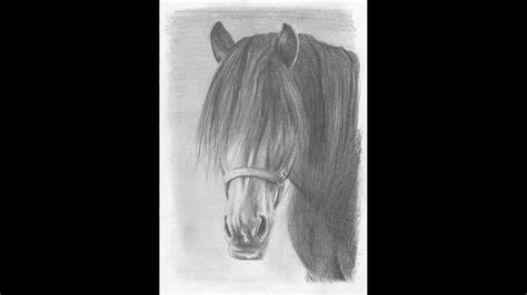 Jak narysować konia Krok po kroku hd narysuj How to draw horse