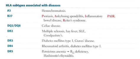 Genetics Of Autoimmune Disease Flashcards Quizlet