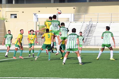 Campeones Tigres De La UIPR Se Tiran Al Terreno A Defender Su Cetro En