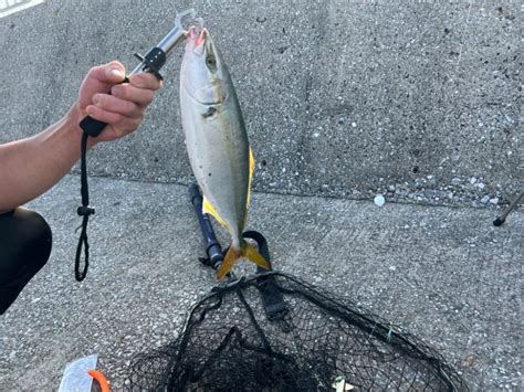 貝塚 ショアジギ 大阪府 貝塚 サビキ ハマチ・イナダ 陸っぱり 釣り・魚釣り 釣果情報サイト カンパリ