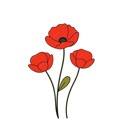 Red Poppy Flowers On White Background Elegant Floral Vector Premium