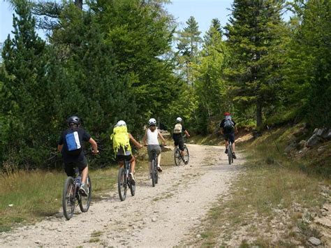 Espace VTT Massif de l Aigoual Circuit 2 Tapis vert Itinéraire VTT