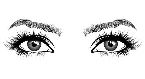 Premium Vector Beautiful Female Eyes With Big Lashes And Eyebrows