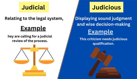 Judicial Review Examples