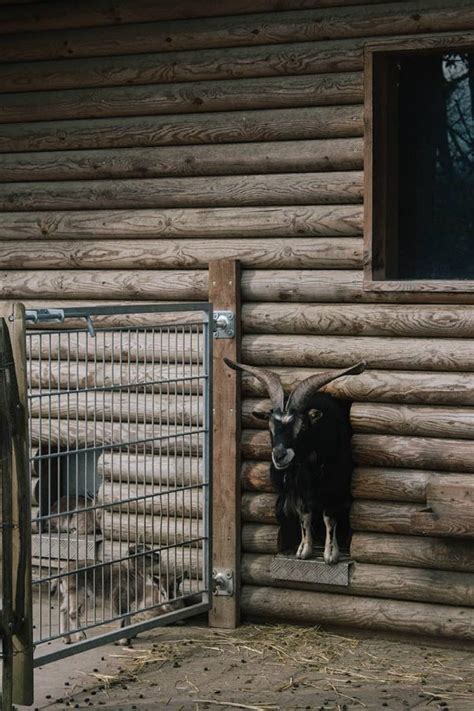 Erlebniswanderung Im Wildpark Feldkirch