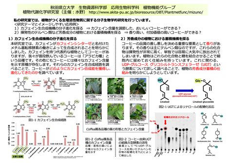 研究室リスト｜秋田県立大学 生物資源科学部 応用生物科学科