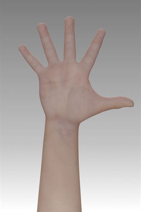 realistic hand 3d obj