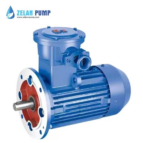 High Efficiency Explosion Proof Three Phase Asynchronous Electric Motor