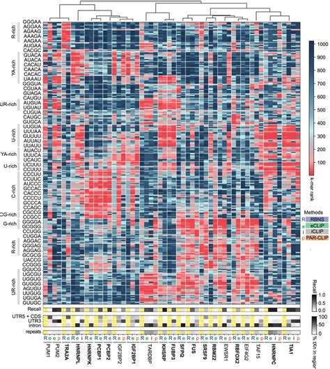 Comparison Of Clip Methods Against Rbns Heatmap Shows The Rank Order