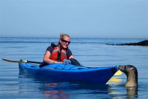 Enjoy An Exciting Introduction To Sea Kayaking With This Exhilarating