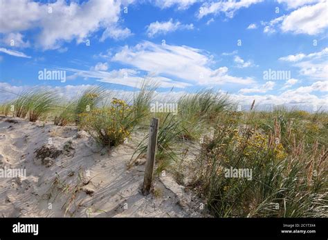 K Stenschutz Ostsee Fotos Und Bildmaterial In Hoher Aufl Sung Alamy