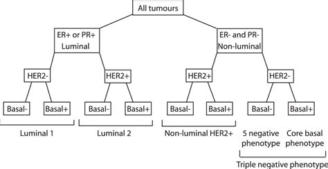 Classification Of Breast Cancer Subtypes According To Ihc Marker