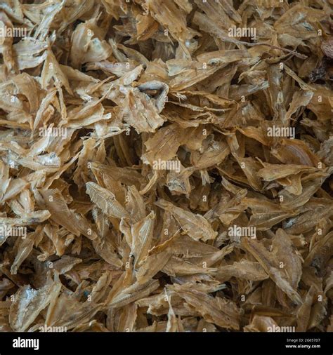 Taboan Cebu Hi Res Stock Photography And Images Alamy