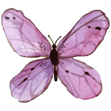 Watercolor Purple Butterfly 10921897 PNG