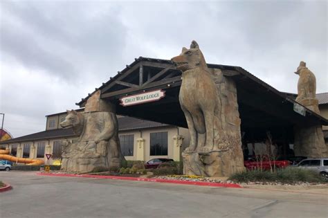 Great Wolf Lodge in Grapevine to add adventure park, new wolf statue ...