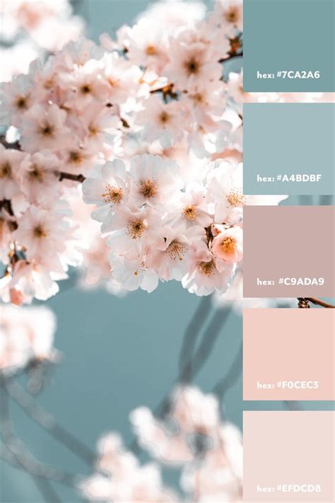 Dusty Blue Pink Color Palette Color Palette Pink Blue Color