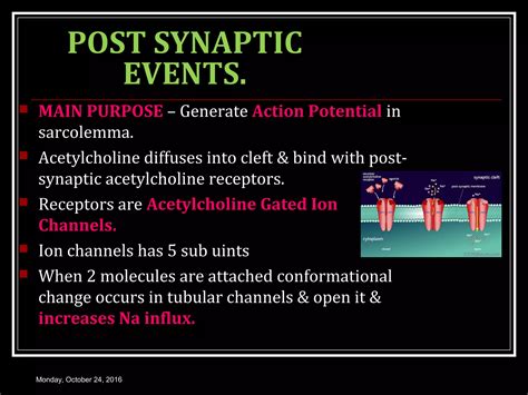 Neuromuscular Junction Ppt