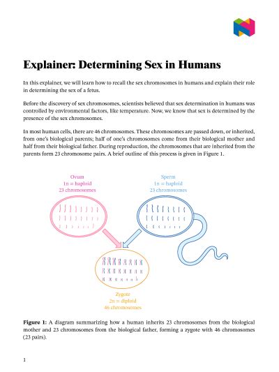 Lesson Determining Sex In Humans Nagwa