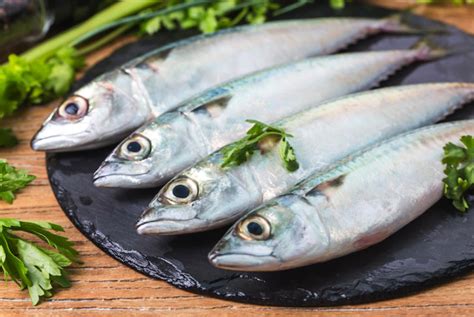 Jenis Ikan Yang Boleh Dimakan Penderita Asam Urat Lengkap Anjuran