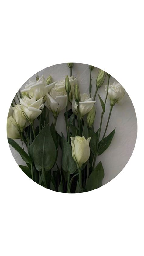 WHITE LILIES SEASON | Instagram feed ideas posts, Mint green aesthetic, Book photography instagram