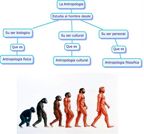 Álbumes 105+ Foto Proceso De Hominización Y Cultura Material. La ...