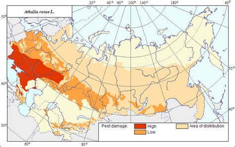 AgroAtlas Pests Area Of Distribution And Damage Of Athalia Rosae L