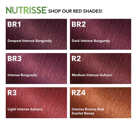 Garnier Nutrisse Ultra Color Nourishing Permanent Hair Color Cream Br1