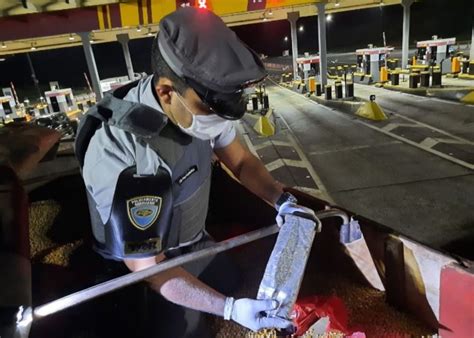 Pol Cia Rodovi Ria Apreende Toneladas De Maconha