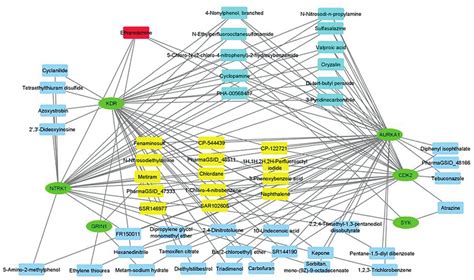 Edc Gene Interaction Network The Red Round Rectangles Refer To The Edc