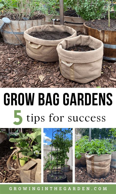 Gardening In Grow Bags 5 Tips For Success Artofit