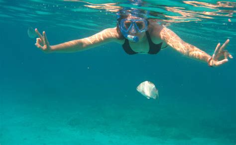Punta Nizuc Snorkel and MUSA Visit Experience - 2 Hours