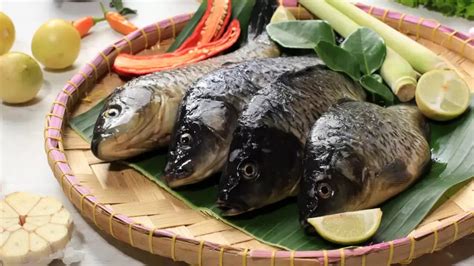 Bolehkah Asam Lambung Makan Ikan Mas