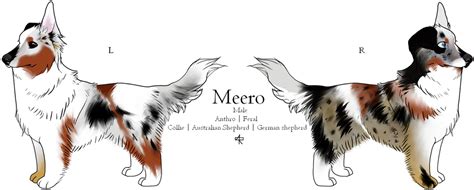 Meero ref by CMR7701 on DeviantArt