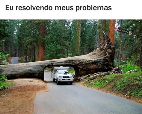 Eu Resolvendo Meus Problemas Memes