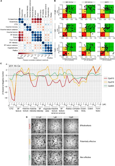 Multiparametric Analysis Of Compound Screen With Organoids A