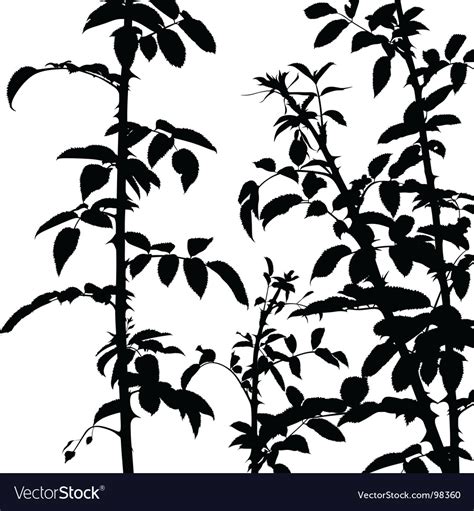 Shrub Silhouette Royalty Free Vector Image Vectorstock