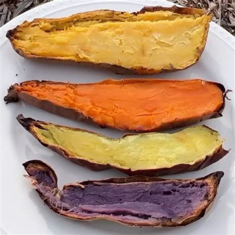 4 Sweet Potato Varieties Ive Been Enjoying Encygrowpedia