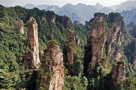 HD wallpaper: stone forest, rock, shilin, nature, park, national park ...