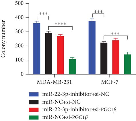 Mir 22 3p Suppressed The Proliferation And Migration Of Bc Cells Via Download Scientific